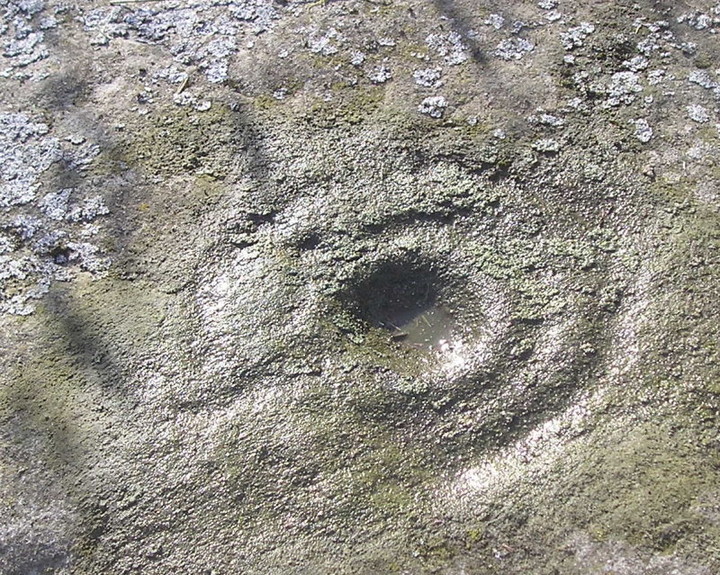 Easter Backlands Of Roseisle (Cup and Ring Marks / Rock Art) by tiompan