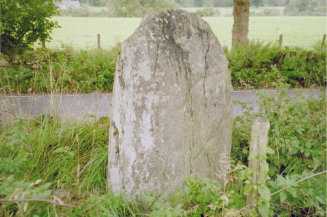 Croft House Stone (Standing Stone / Menhir) by hamish