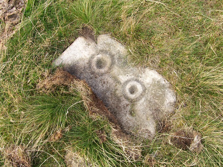 Weston Moor (Cup and Ring Marks / Rock Art) by Chris Collyer