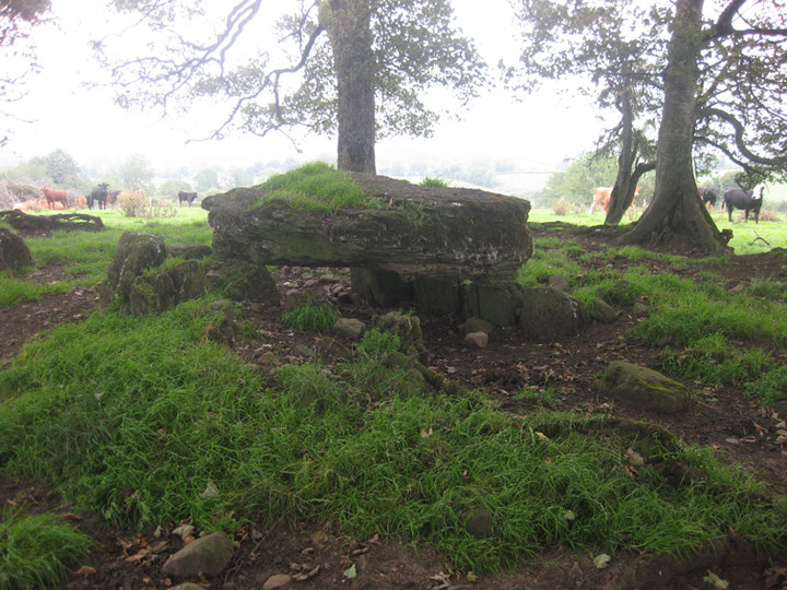 Kilnavert (Wedge Tomb) by ryaner