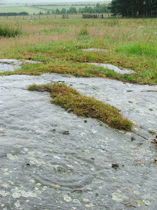 Doddington North Moor (Cup and Ring Marks / Rock Art) by postman