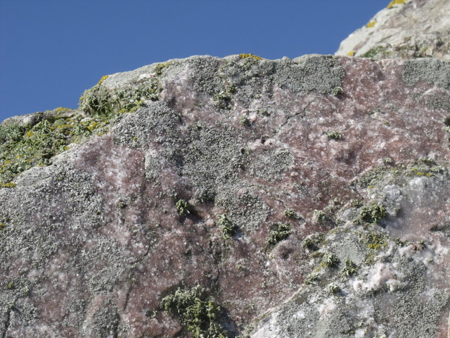 Llech Golman (Standing Stone / Menhir) by blossom