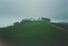 <b>Chanctonbury Ring</b>Posted by Cursuswalker