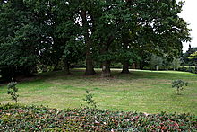 <b>Lexden Tumulus</b>Posted by GLADMAN