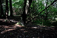 <b>Ring Hill</b>Posted by GLADMAN