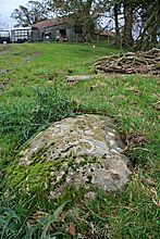 <b>Llanerch Stone</b>Posted by postman