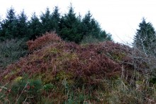 <b>The Beacons (Llantrisant)</b>Posted by thesweetcheat
