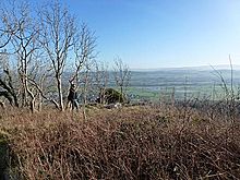 <b>Warton Crag</b>Posted by Vicster