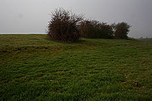 <b>Belsar's Hill</b>Posted by GLADMAN