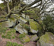 <b>Cratcliff Rocks (Defended Settlements and Cave)</b>Posted by A R Cane