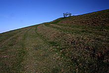 <b>Biddcombe and Whitepits Down Cross Dykes</b>Posted by GLADMAN