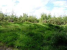<b>Foresters Oaks Round Barrow</b>Posted by thesweetcheat