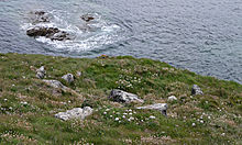 <b>Gurnard's Head</b>Posted by thesweetcheat