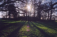 <b>Morden Park Mound</b>Posted by juamei