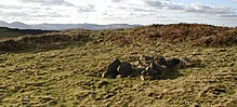 <b>The Ringses Hillfort</b>Posted by pebblesfromheaven
