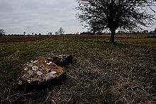 <b>Lechmore Long Barrow</b>Posted by GLADMAN