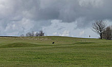 <b>Willersey Long Barrow</b>Posted by thesweetcheat