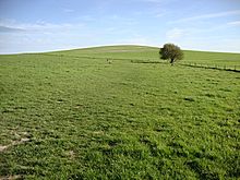 <b>Waden Hill</b>Posted by Chance
