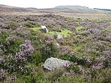 <b>Balnabroich kerbed cairn 1</b>Posted by drewbhoy