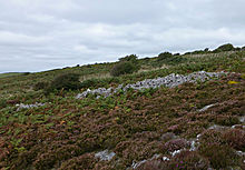<b>Morfa Bychan long cairn</b>Posted by thesweetcheat
