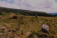 <b>Cerrig Duon and The Maen Mawr</b>Posted by GLADMAN