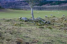 <b>Auchenlaich Cairn</b>Posted by BigSweetie