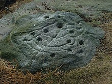 <b>The Tree Of Life Rock</b>Posted by Chris Collyer