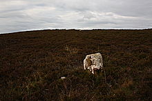 <b>Garrywhin Stone Rows</b>Posted by GLADMAN