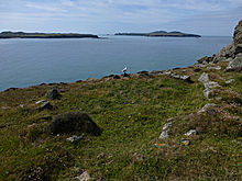 <b>St David's Head Camp</b>Posted by thesweetcheat
