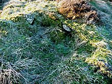 <b>Tealing Hill cist</b>Posted by drewbhoy