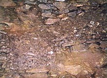 <b>Banwell Bone Caves</b>Posted by vulcan