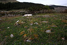 <b>Gualachulain, Loch Etive</b>Posted by GLADMAN