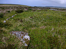 <b>Boskednan Southern Cairn</b>Posted by thesweetcheat
