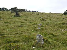 <b>Shaugh Moor</b>Posted by Meic