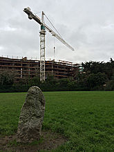 <b>Leopardstown</b>Posted by ryaner