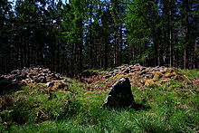 <b>Blue Cairn</b>Posted by GLADMAN