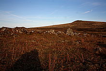 <b>Foale's Arrishes</b>Posted by GLADMAN