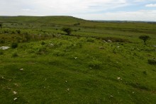 <b>Langstone Downs (Withey Brook)</b>Posted by thesweetcheat