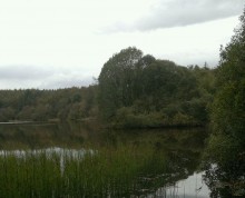 <b>Whitefield Loch</b>Posted by spencer