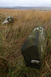 <b>Gibbet Moor North</b>Posted by thesweetcheat