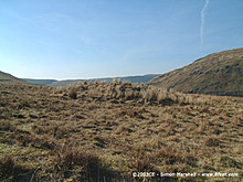 <b>Nant Maesnant Fach</b>Posted by Kammer