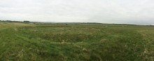 <b>Little Curragh</b>Posted by ryaner