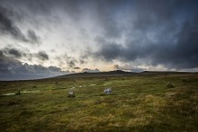 <b>Merrivale Stone Circle</b>Posted by A R Cane