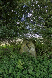 <b>Down Barn standing stones</b>Posted by thesweetcheat