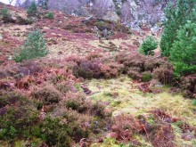 <b>Creag A' Chait</b>Posted by drewbhoy