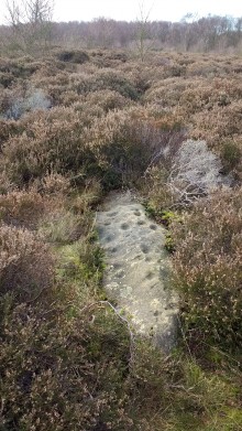 <b>Eston Moor Carved Stone</b>Posted by spencer