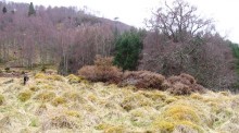 <b>Creag A' Mhuilein</b>Posted by drewbhoy
