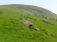 <b>Dun Hill Of Glenmore</b>Posted by thelonious