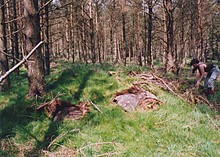 <b>Giant's Grave Cairn</b>Posted by BigSweetie