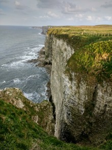 <b>Bempton Cliffs</b>Posted by spencer